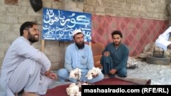 کروندګر د خرېړیو له فصل څخه ډېر خوښ دي