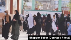 د طالبانو حکومت له نژدې لسو میاشتو راهیسې له شپږم د پورته ټولګیو د نجونو پر تعلیم بندیز لګولی دی.