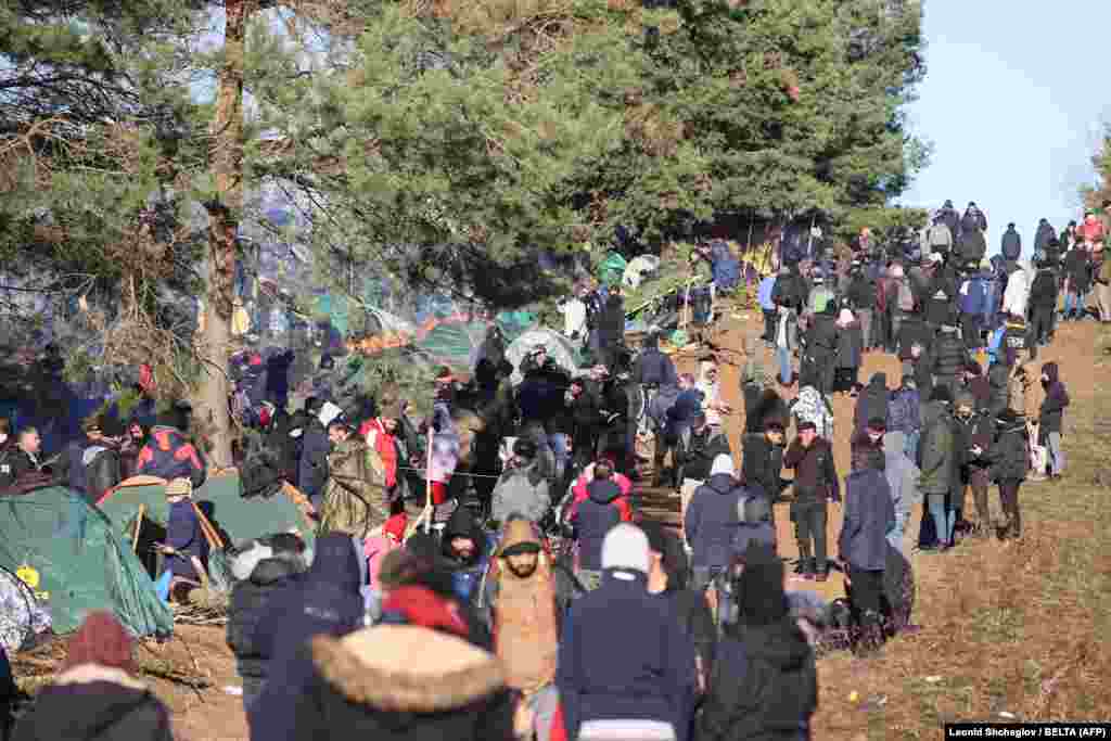 Мигранты на границе с Польшей в Гродненской области Беларуси 