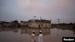 په ۲۰۱۰ز کال کې سېلاوونو د نوښار په ګډون یو شمېر ښارونه ځپلي ول