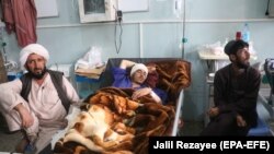 په هرات روغتون کې په بریدونو او نښتو کې ژوبل شوي ملکي وګړي - انځور له ارشیفه