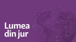 Cultura directoare
