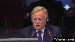 Richard Mole svjedoči na suđenju Karadžiću, 17.08.2010.