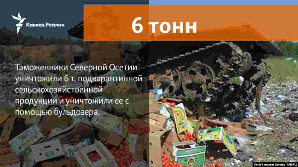 10.04.2018 // Свыше 6 тонн карантинных овощей уничтожили бульдозером во Владикавказе таможенниками Северной Осетии. 