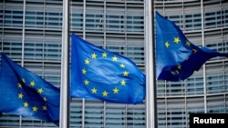 Evropska komisija pažljivo prati slučaj pritvorenih novosadskih aktivista i navodi da je duboko zabrinuta zbog pogoršanja zdravstvenog stanja Marije Vasić