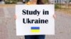Близько трьох мільйонів українських дітей зараз перебуває в європейських країнах – Валентина Потапова