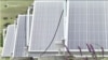 Մինչև 2030 թ․ Հայաստանը կսպառի միայն ԱԷԿ-ի և վերականգնվող աղբյուրների անհամեմատ էժան էլեկտրաէներգիան