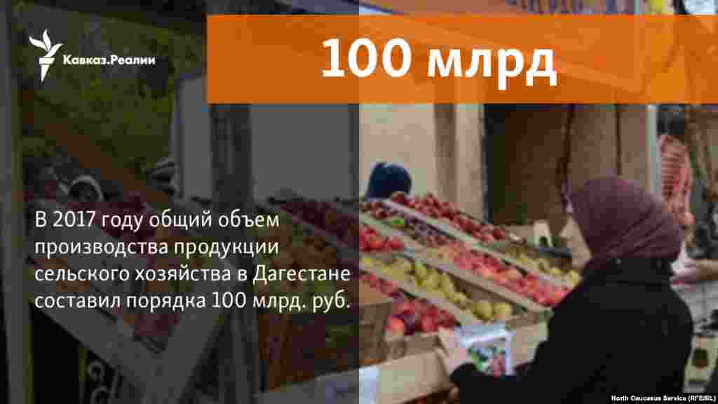 20.11.2017 // На 100 миллиардов рублей сельхозпродукции произведено в Дагестане с начала года. 