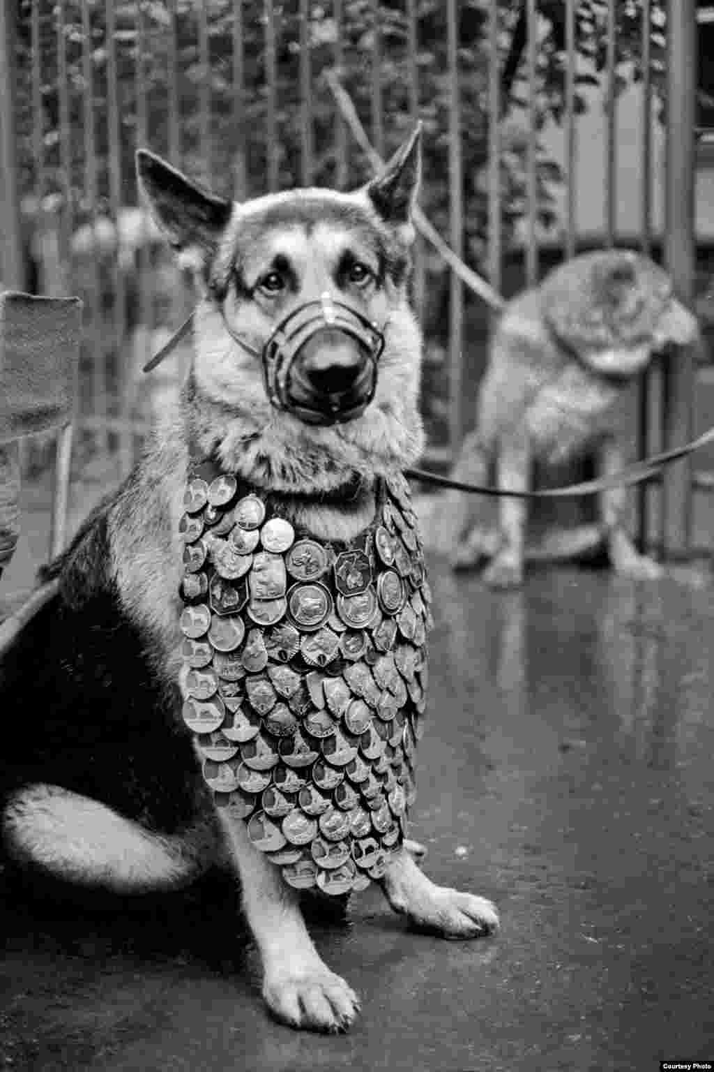 Москва. Птичий рынок на Таганке. 1987 год 