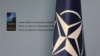 „Toţi cei care se îngrijorează de statutul de neutralitate să ia exemplu de la NATO!” (VIDEO)