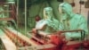 Image result for "Алесін"