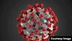 CORONAVIRUS generic
