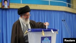 Ali Hamnei