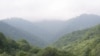 Թեղուտի անտառը: