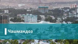 Бародарии шикастнопазир"-и нирӯҳои Тоҷикистону Узбекистон