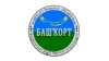 "Башкорт" оешмасы Русия Конституциясенә үзгәрешләр турында тавыш бирүгә каршы чыкты