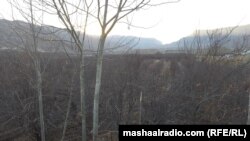 اصغر خان اڅکزی وايي وچکالۍ د صوبې کروندګرۍ او باغوانۍ ته لوی تاوان اړولی